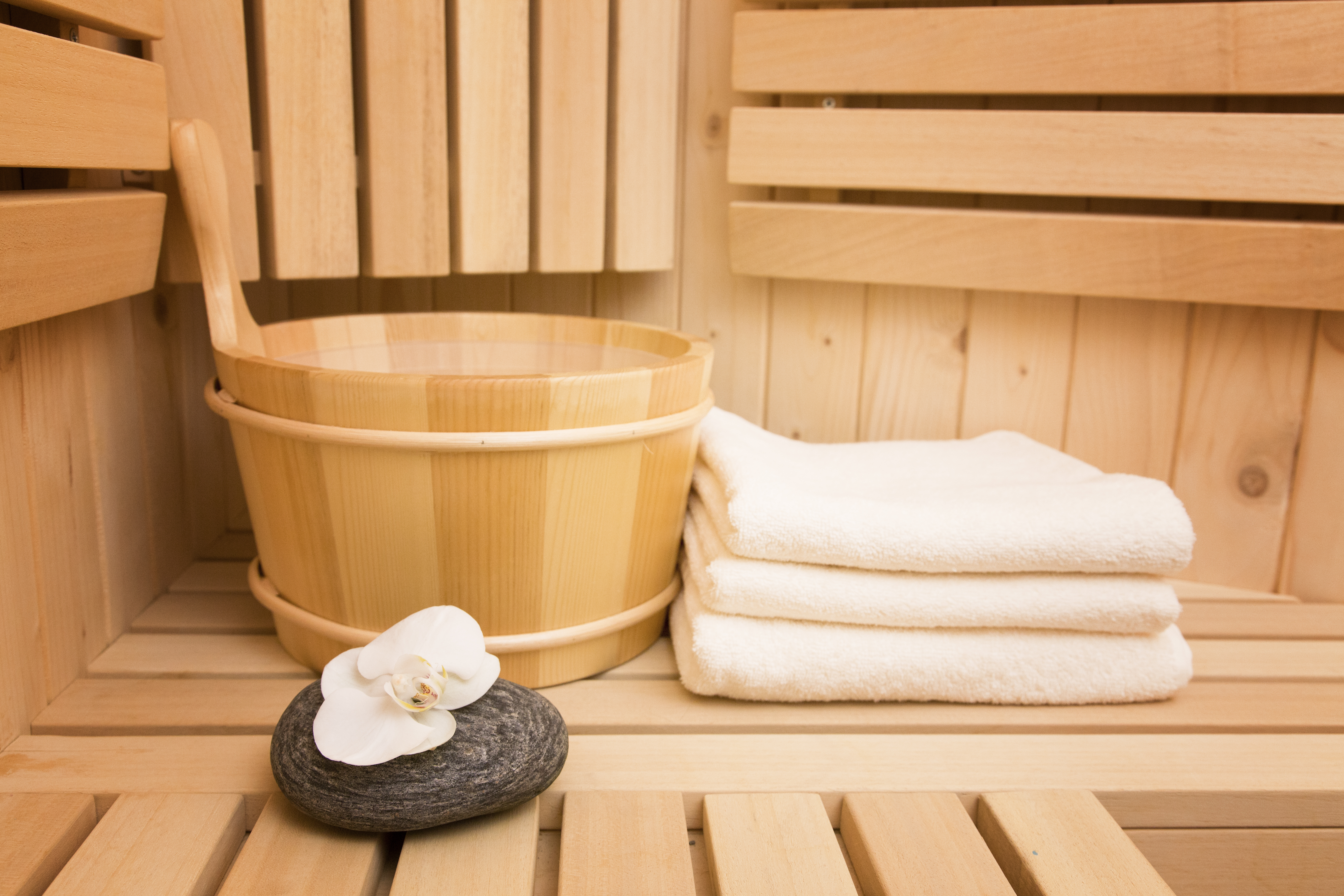 Saunagus Shutterstock 246930172