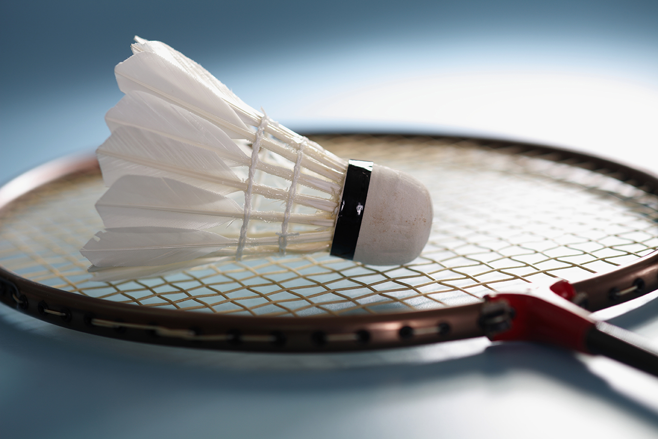 Badminton